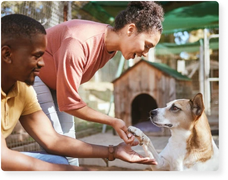 a man and a woman socializing a dog at a shelter