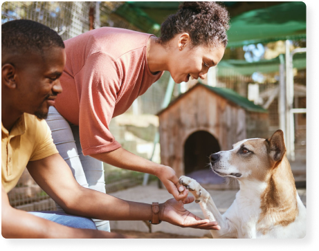 a man and a woman socializing a dog at a shelter